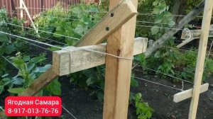 Шпалеры для малины