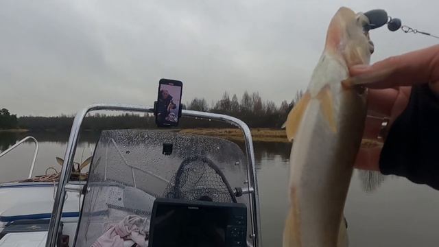 В ПОИСКАХ ТРОФЕЯ?. РЫБАЛКА 14.11.2021 года.КЛЕВ КаК На Чёрных КАМНЯХ. смотреть онлайн