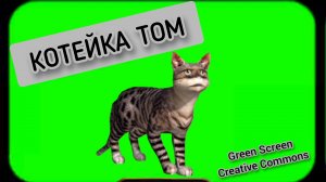 Кот  Том видео Green Screen футаж. Хромакей анимация на зелёном фоне.