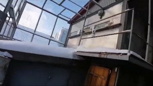 Николаевские голуби Прокофьева Сергея г. Самара 2024  8 905 018-92-63