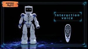 Робот радиоуправляемый Эпсилон-Ти Zhorya