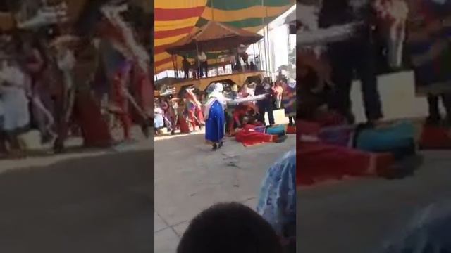 Féria anual san Lucas atzala 206 смотреть онлайн