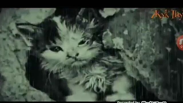 Грустные--грустные анимации "конец" смотреть онлайн