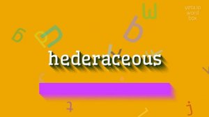 HOW TO PRONOUNCE HEDERACEOUS?