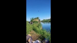 Опять дуплет.