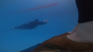 Фридайвинг в бассейне Моноласта и развороты тренировка