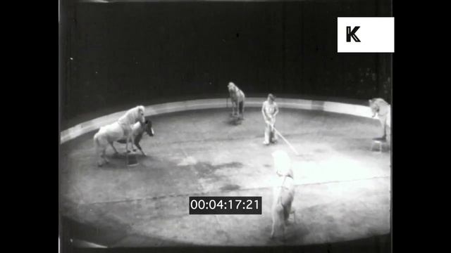 1940s UK, Circus Show, Dog Trainer, Performing Animals, 16mm смотреть онлайн