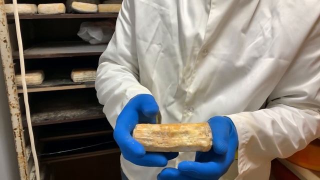 МОИ перепела едут в гости. Молочная ферма братьев Бакановых. Коломна смотреть онлайн