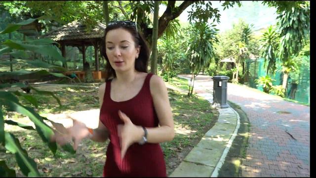 Богатая Малайзия // Куала Лумпур смотреть онлайн