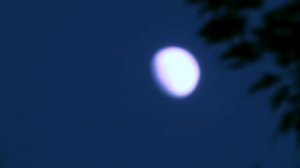 Test Panasonic AG-AC120EN