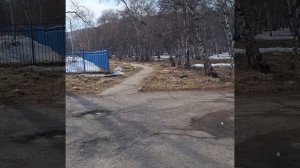 7.04.24. Поездка в Елизово.