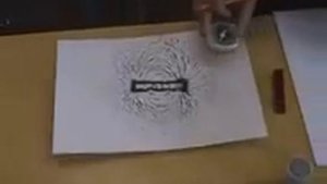 Магнитное поле. Визуализация с помощью железных опилок