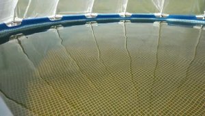 Замена насоса для песочного фильтра на новый и ужас воды.