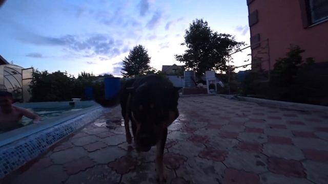 ВЫРЫЛИ ПОГРЕБ НА ДАЧЕ /ВЛОГ С ДАЧИ смотреть онлайн