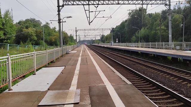 Сапсан на скорости 200 км/ч и Ласточка на скорости 160 км/ч