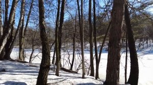 Сын богача оделся курьером, чтобы узнать правду о своей невесте-дочери миллионеров… Правда огорошил