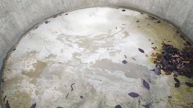 Бассейн из бетонного кольца. Состояние перед зимой. смотреть онлайн