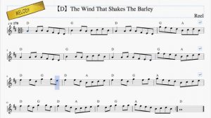 The Wind That Shakes The Barley (Reel #05)