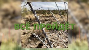 Христианские Песни - Всё пройдёт - Виталий Русавук