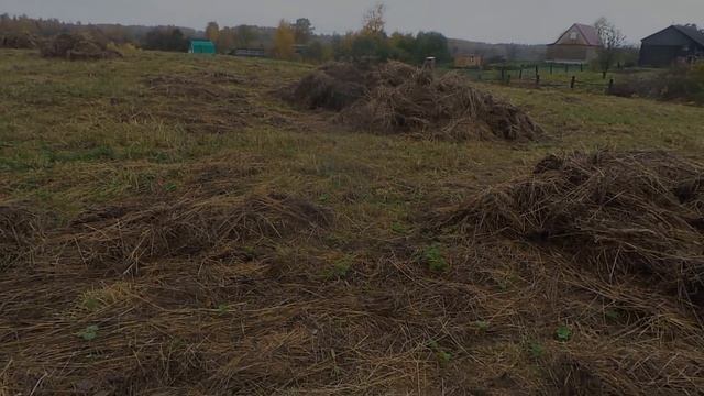 Коп монет и предметов старины в не битой жилой деревне. Поиск монет металлоискателем minelab x-terr