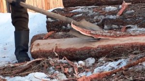 Очистка хвойного бревна от коры.