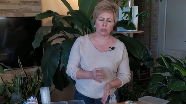 СЕЗОН 2020: ПЕРЦЫ И БАКЛАЖАНЫ сроки посева семян, подготовка грунта, посадка / Садовый гид