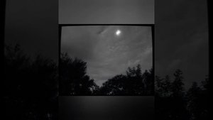 Corn Wave - Summer Playlist