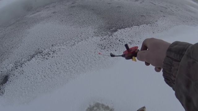 КРЕЩЕНСКИЕ МОРОЗЫ/ ИЩЕМ ГДЕ ЛОВИТЬ ЖИВЦА/ НЕЗАМЕРЗАЮЩАЯ РЕЧКА/ ТОНКИЙ ЛЁД.. смотреть онлайн