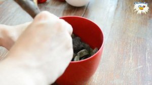 ЭКОНОМИМ на РАСТВОРЕ Алебастр \ Чем ЗАЛИТЬ горшок для топиария