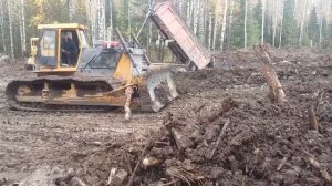 Работа бульдозера болотохода Б10МБ П на расчистке просеки