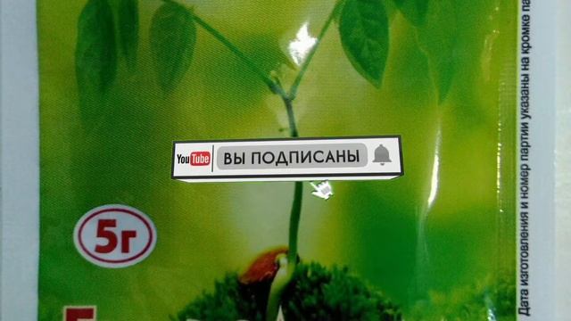 Самый легкий  способ получить много кустов смородины,все секреты,100% успех осеннего черенкования!