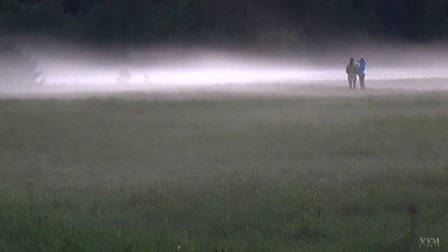 Беларусь. Природа Беларуси. Отдых в Беларуси. Белорусские красоты. смотреть онлайн