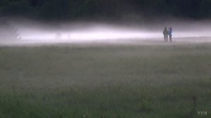 Беларусь. Природа Беларуси. Отдых в Беларуси. Белорусские красоты.