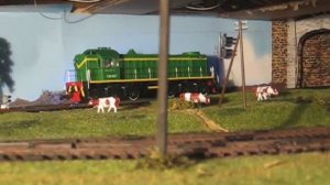 ТЭМ1 на домашнем макете СЖД