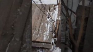 Живу как хочу/Привёз бабуле угля по доставке/ Бесплатно скидал его в углярку/Бабуля давольная