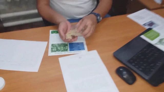 Семена озимого гороха НС МОРОЗ. Сербский сорт урожайного озимого гороха НС МОРОЗ Нови Сад. смотреть онлайн