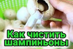Как чистить шампиньоны.