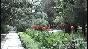 Оцифровка видео с VHS видеокассеты - 1