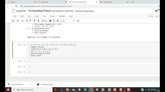 Python File Handling - Binary File