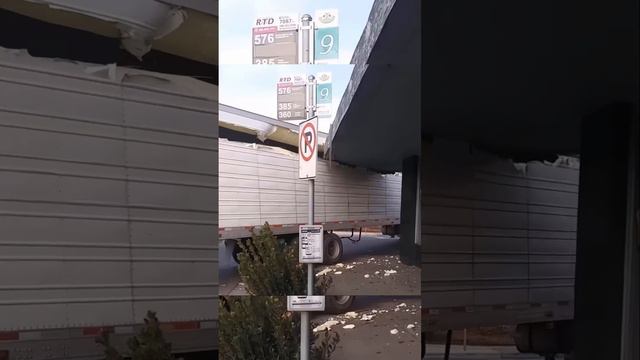 Этот водитель профессионал?