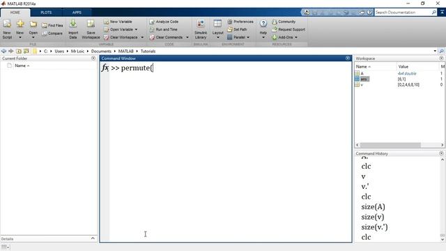 MATLAB 5.10. Arrays - Sorting and Rearranging Arrays (transpose, circshift) смотреть онлайн