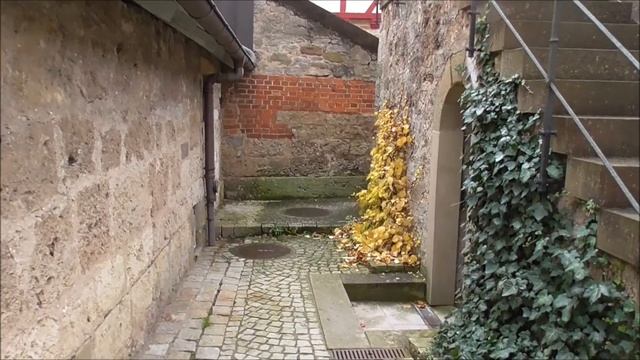 Замок Фельберг. Найдена доисторическая черепаха. Достопримечательности влог смотреть онлайн