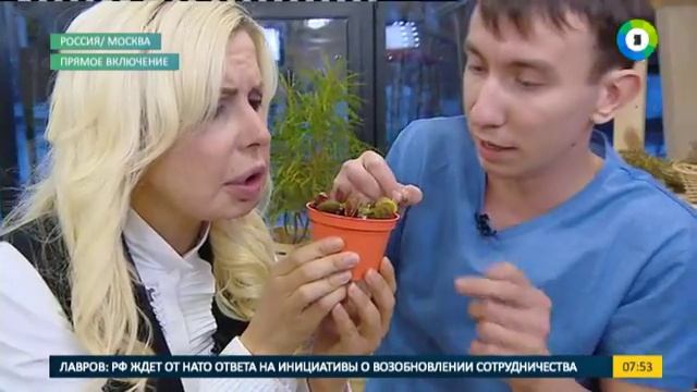 Хищные растения. В гостях - Сергей Куницын, руководитель проекта хищных растений. От 3.11.2016 смотреть онлайн