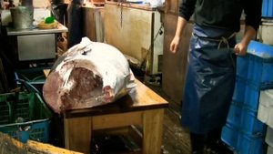 Самая Востребованная Рыба в Японии на Рынке Цукидзи - Разделка Огромного Тунца На Филейные Части
