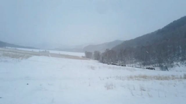 В гости к Джастасу Уолкеру. Строим молочный цех. 2018 смотреть онлайн