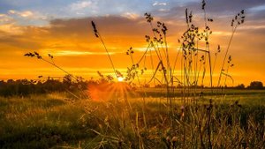 ?МЕДИТАЦИЯ ОТ ДЕПРЕССИИ И БЕССИЛИЯ // АКТИВАЦИЯ ЖИЗНЕННОЙ ЭНЕРГИИ #медитация #депрессия