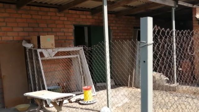 Наш хоз двор смотреть онлайн