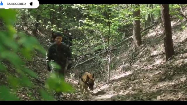 Search (korean Drama) | Episode 1 | Hindi смотреть онлайн