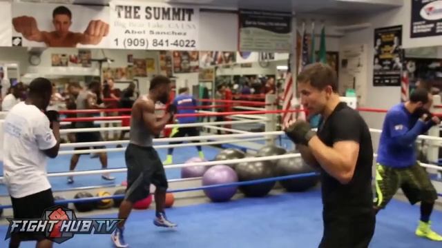 Открытая тренировка Геннадия Головкина смотреть онлайн