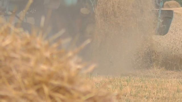 Нет сена поля без соломы чем кормить коров зимой, уборочная смотреть онлайн